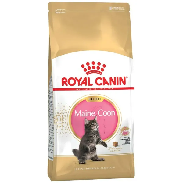 Cat food Royal Canin Maine Coon Kitten Chicken Rice Birds 2 Kg