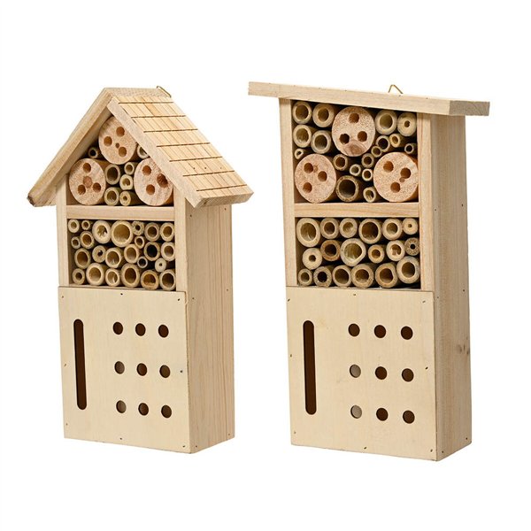 Insect box Decoris