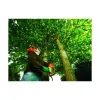 Chainsaw Black & Decker 800 W Extendable pole handle
