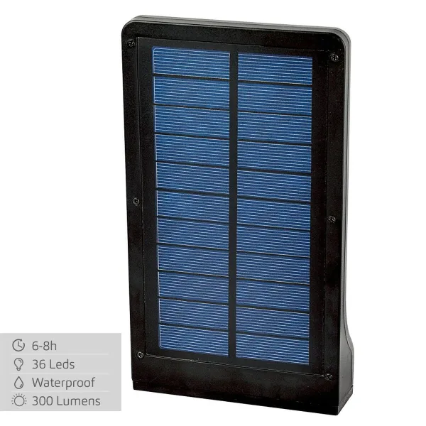 Soliariumo lempa Aktive 11 x 3 x 19 cm (12 vnt.)