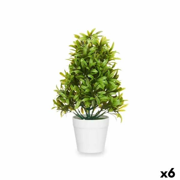 Dekoratyvinis augalas Ibergarden Plastmasinis 18 x 35 x 16 cm (6 vnt.)