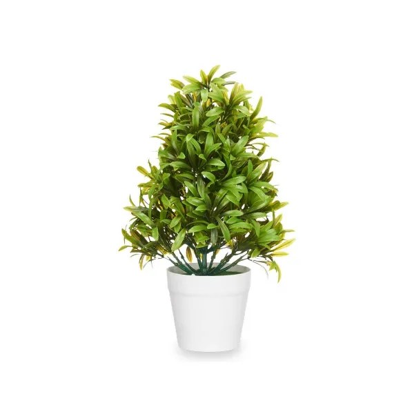 Dekoratīvs Augs Ibergarden Plastmasa 18 x 35 x 16 cm (6 gb.)