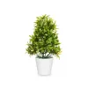 Dekoratīvs Augs Ibergarden Plastmasa 18 x 35 x 16 cm (6 gb.)