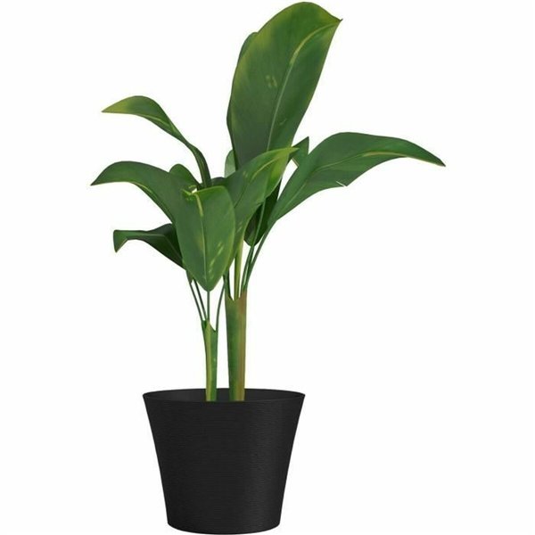 Planter Garden ID