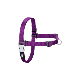 Suņu drošības siksna Red Dingo 30-42 cm Violets XS