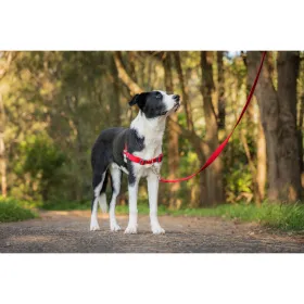 Suņu drošības siksna Red Dingo 59-84 cm Sarkans M/L