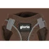 Šuns pakinktai Gloria 31-34,6 cm Ruda S 27-28 cm