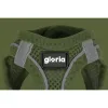 Koiran valjaat Gloria 24,5-26 cm Vihreä 18-20 cm