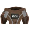 Šuns pakinktai Gloria 45-47 cm Ruda L 32,8-35,4 cm