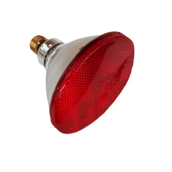 Infrasarkano staru spuldze Philips PAR 38 100 W E27
