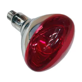 Infrapunalamppu Philips 923212043801 250 W E27