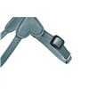 Koera rakmed Hunter SOHO MINI Sinine