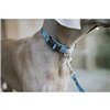 Dog Lead Hunter Blue 100 cm