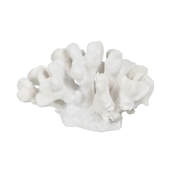 Decorative Figure White Coral 19 x 14 x 11 cm