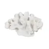 Decorative Figure White Coral 19 x 14 x 11 cm