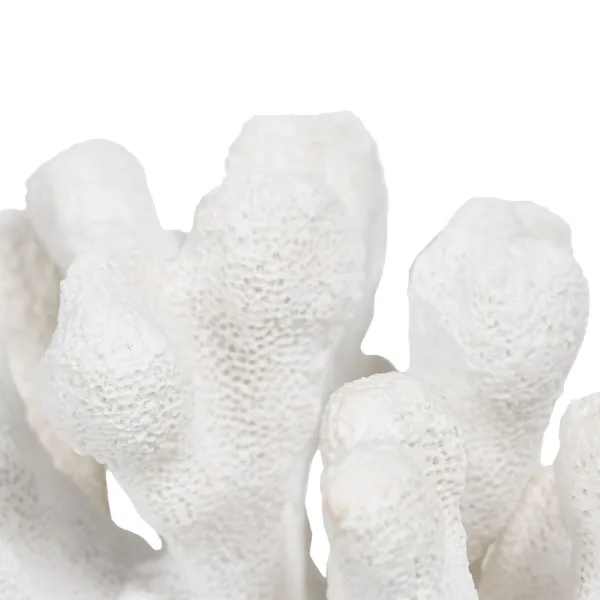 Decorative Figure White Coral 19 x 14 x 11 cm