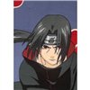 Sega Naruto Melns dzīvnieki