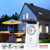 Älypistorasia Alpina Smart Home Ulkopuoli Wi-Fi 230 V 16 A
