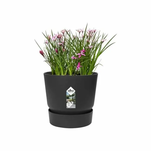 Stiklainis Elho Juoda Plastmasinis Apskritas Šiuolaikiškas Ø 47 cm