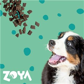 Fodder Zoya Deer 1 kg