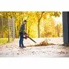 Pūtiklis Scheppach LBH3500P Degalinė 25.4 CC
