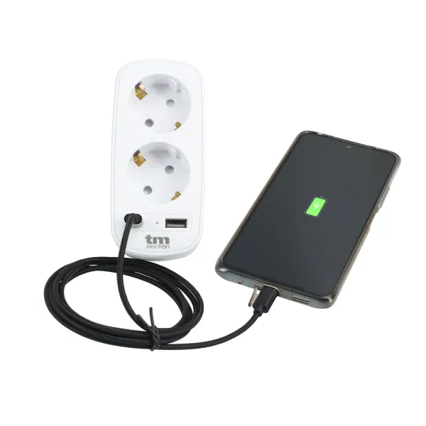 Настенная розетка с 2 портами USB TM Electron 3.1