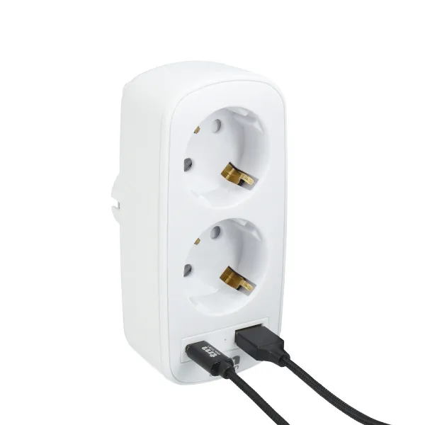 Sieninis lizdas su 2 USB prievadais TM Electron 3.1