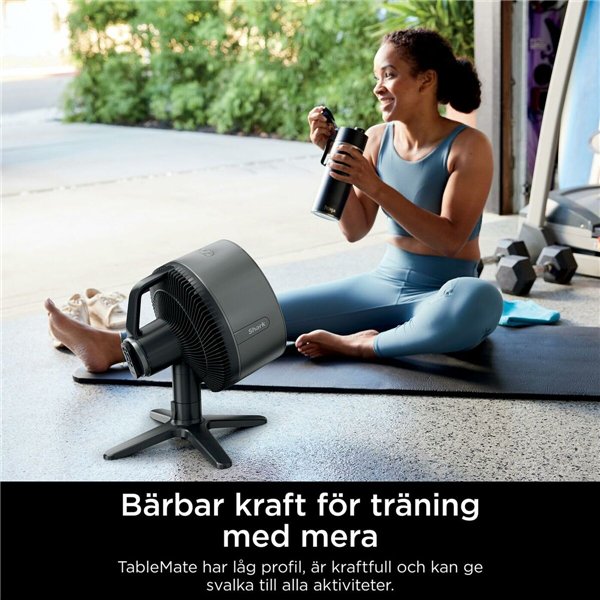 Freestanding Fan Shark