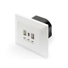 Настенная розетка с 2 портами USB Digitus by Assmann DA-70618 Белый 14 W