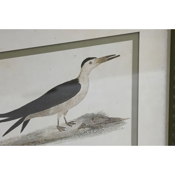 Картина Home ESPRIT Стеклянный Ббереза 40 x 2,5 x 54 cm 40 x 3 x 54 cm