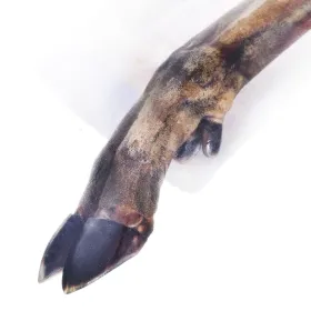 Suņu uzkodas Petmex Briedi 100 g 1 Daudzums