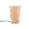 Pöytälamppu DKD Home Decor Pinkki Suola Akaasia 15 W 220 V 14 x 14 x 18 cm