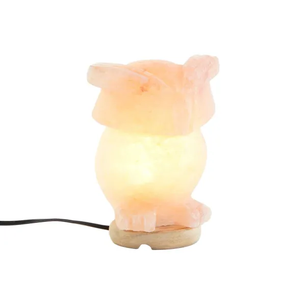 Galda lampa DKD Home Decor Rozā Sāls Akācija 15 W 220 V 14 x 14 x 18 cm