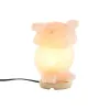 Desk lamp DKD Home Decor Pink Salt Acacia 15 W 220 V 14 x 14 x 18 cm