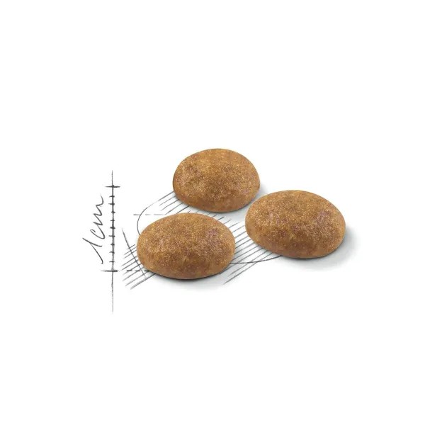 Kaķu barība Royal Canin Active Life Outdoor Pieaugušais Cālis Putni 4 Kg