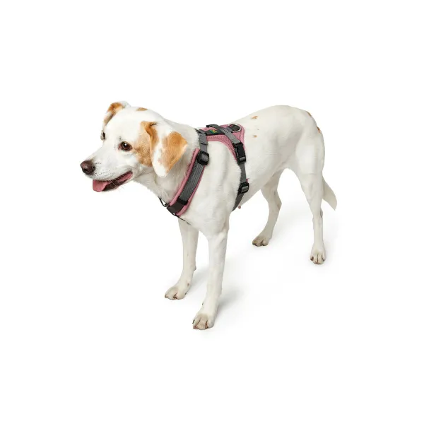 Koiran valjaat Hunter Maldon Up Pinkki 57-98 cm