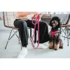 Koiran valjaat Hunter Comfort Fuksia 30-35 cm