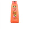 Šampoon Fructis 300 ml