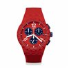 Miesten rannekellot Swatch SUSR407