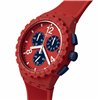 Miesten rannekellot Swatch SUSR407