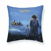 Чехол для подушки Harry Potter Philosopher's Stone Разноцветный 50 x 50 cm