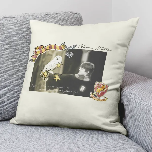 Чехол для подушки Harry Potter Little Memories Разноцветный 50 x 50 cm