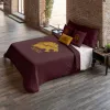 Šiaurės šalių viršelis Harry Potter Gryffindor Values Spalvotas 175 Siūlai 200 x 200 cm Lova 120