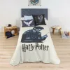 Pussilakana Harry Potter Monivärinen 175 Langat 200 x 200 cm Sänky 120