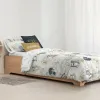 Ziemeļu pārvalks Harry Potter Bēšs Daudzkrāsains 175 Vītnes buklets 155 x 220 cm Gulta 90