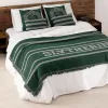 Huopa Harry Potter Slytherin House Monivärinen 180 x 2 x 260 cm