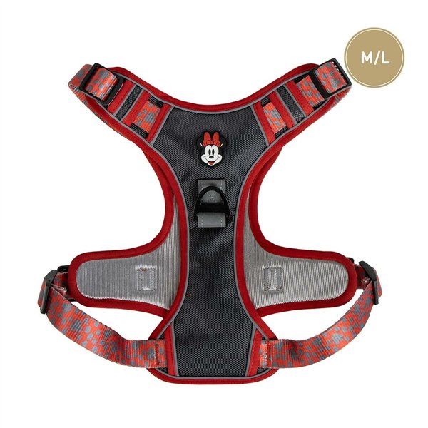 Koera rakmed Minnie Mouse