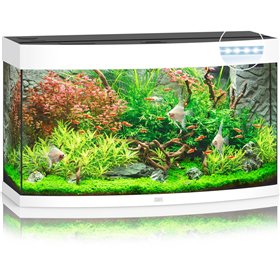 Aquarium Vision LED 180 L white