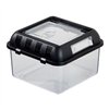 Exo Terra breeding box, small