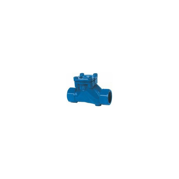 Threaded ball check valve 2''